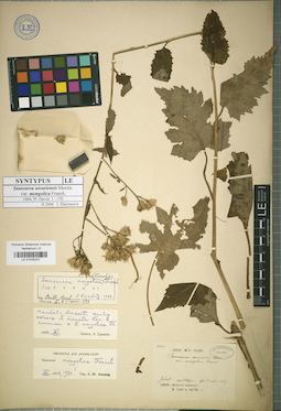 LE 01025237