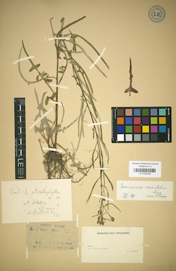 LE 01025239