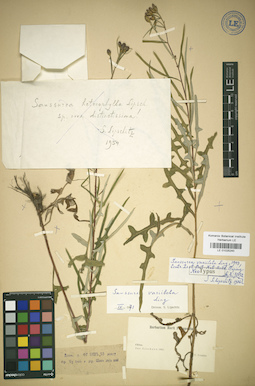 LE 01025240