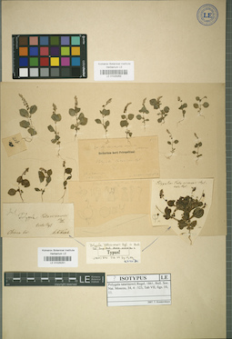 LE 01025251