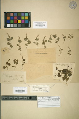 LE 01025252