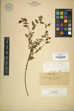LE 01025253