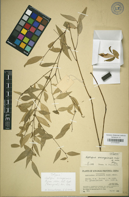 LE 01025257