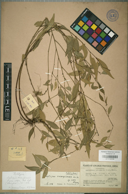 LE 01025258
