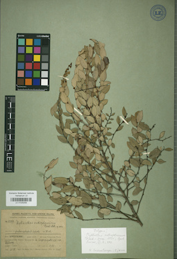 LE 01025259