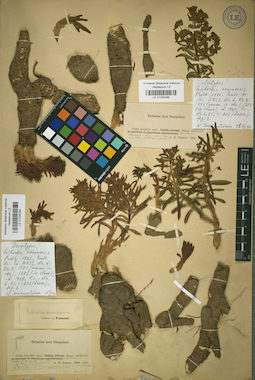 LE 01025295