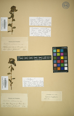 LE 01025326