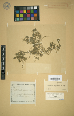 LE 01025342