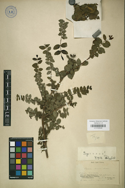 LE 01025346