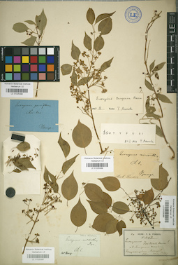 LE 01025388