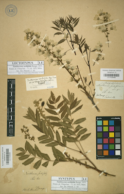LE 01025462