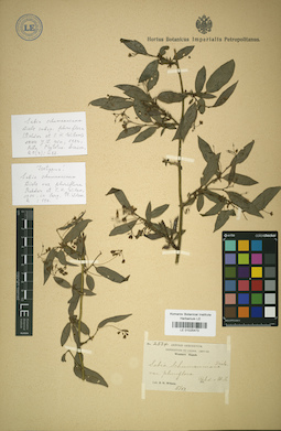 LE 01025473