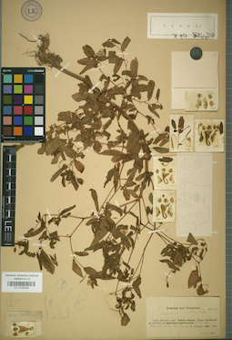 LE 01025494