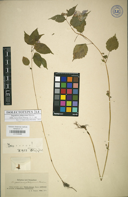 LE 01025495