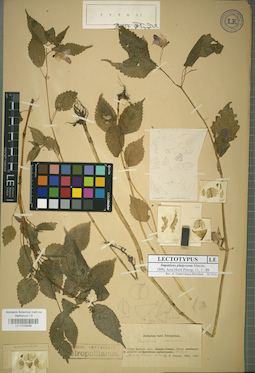 LE 01025496