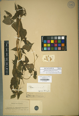 LE 01025497