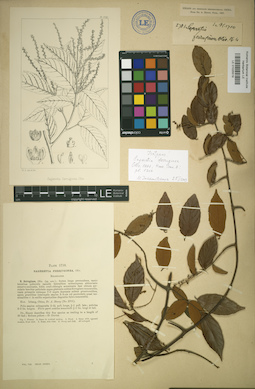LE 01025519