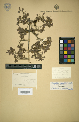 LE 01025521
