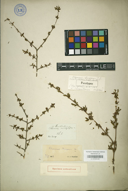 LE 01025525