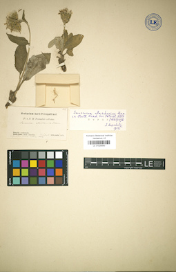 LE 01025550