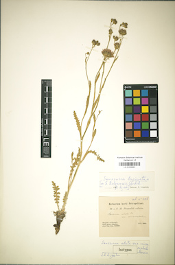 LE 01025551