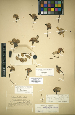 LE 01025558