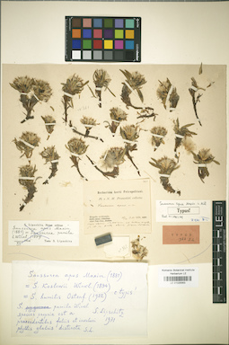 LE 01025563