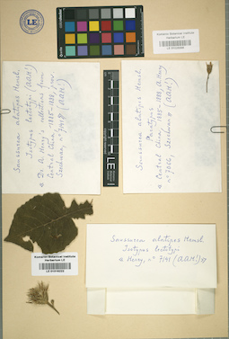 LE 01025566