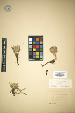 LE 01025570