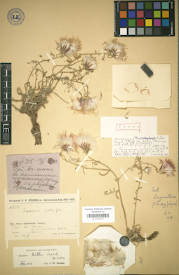 LE 01025571