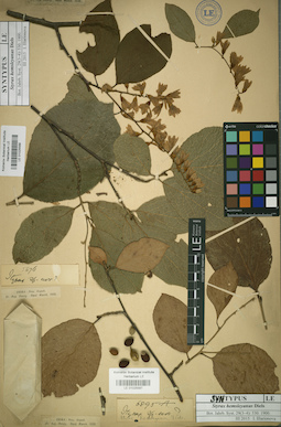 LE 01025587