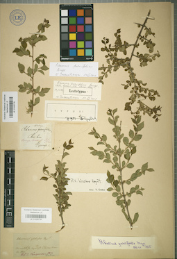 LE 01025719
