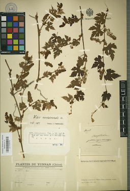 LE 01025740