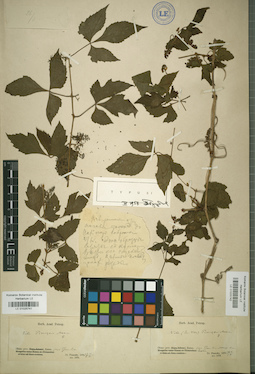 LE 01025741