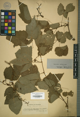 LE 01025743