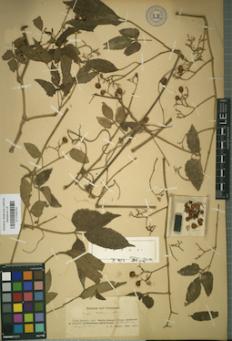 LE 01025744