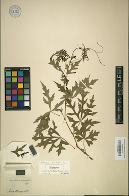 LE 01025746