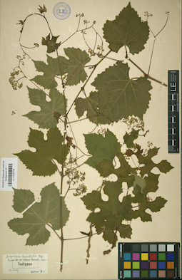 LE 01025748