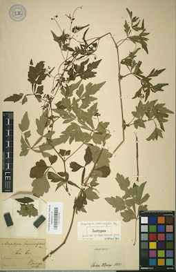 LE 01025749