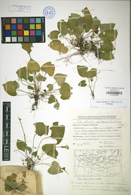 LE 01025795