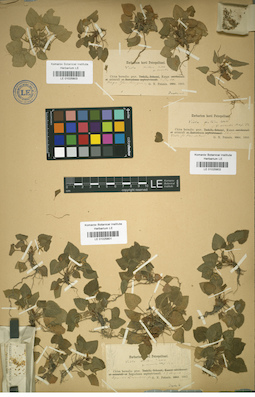 LE 01025802