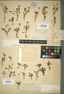 LE 01025818