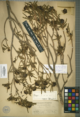 LE 01025843