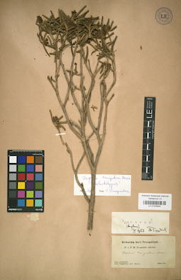 LE 01025845