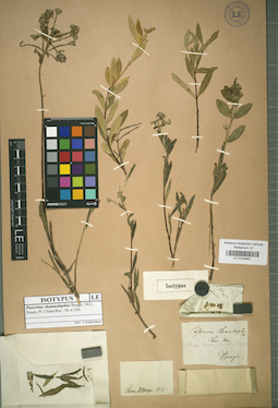 LE 01025851