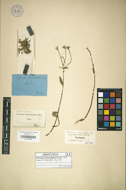 LE 01025852