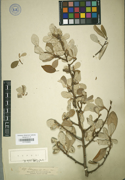 LE 01025854