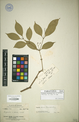 LE 01025857