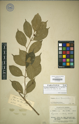LE 01025859
