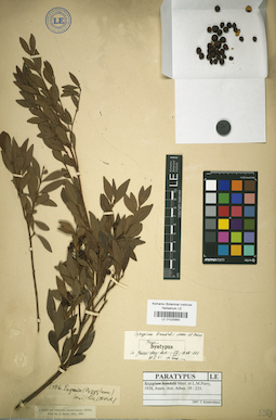 LE 01025860